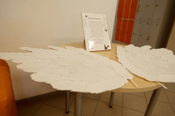 ELA_2507