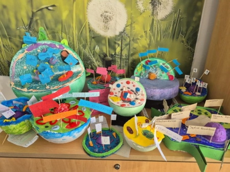  Projekt biologiczny „Komórka” – klasa V 