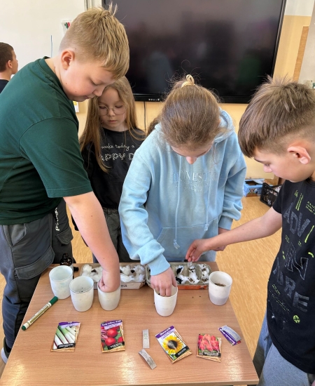 Kiełki małe - ale pełne mocy