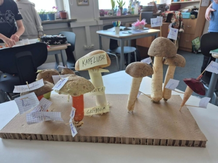 Klasa piąta w świecie grzybów