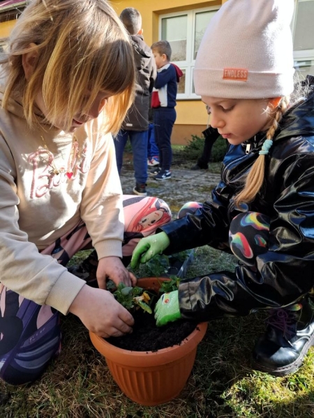Małe kwiaty, wielka radość czyli wspólna akcja uczniów klas 1-3!