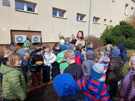 Małe sadzonki, wielkie plony - szkolna przygoda z ogrodnictwem!