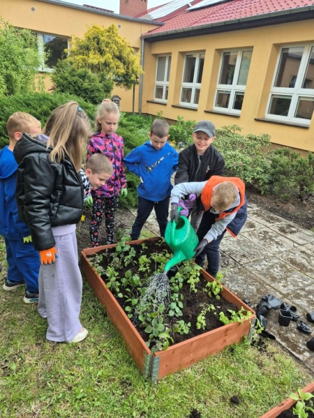 Zdrowie na talerzu